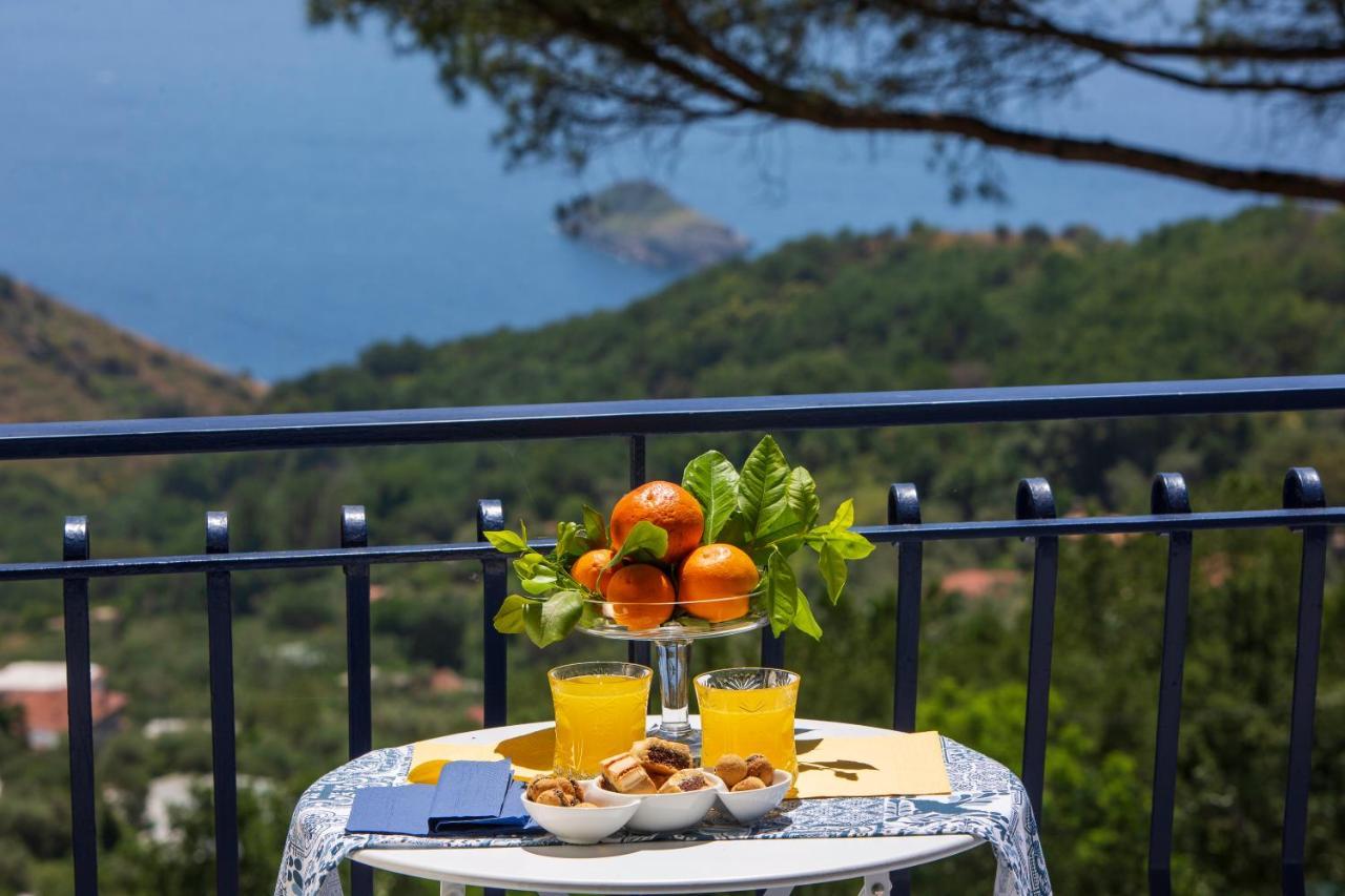 Villa Fedora Sea&Stars Massa Lubrense Exterior foto