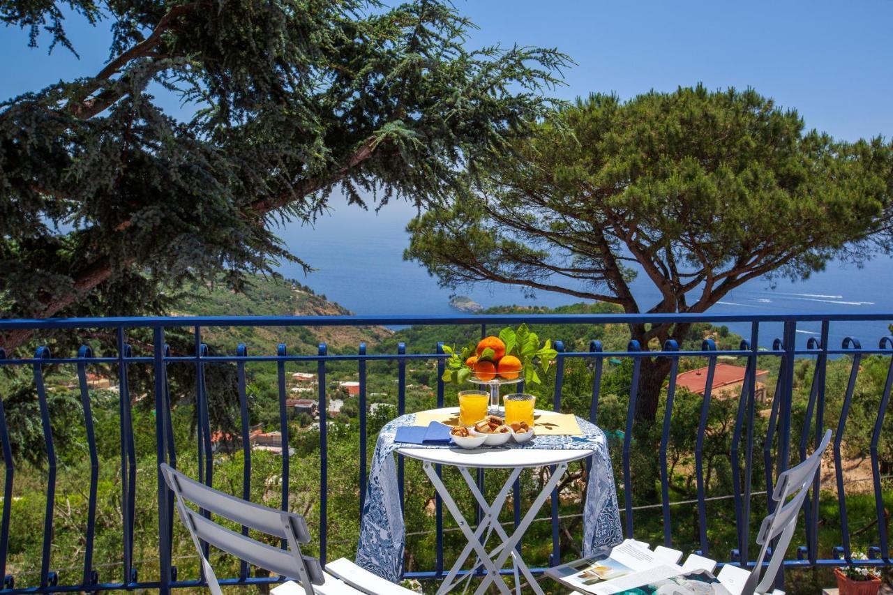 Villa Fedora Sea&Stars Massa Lubrense Exterior foto